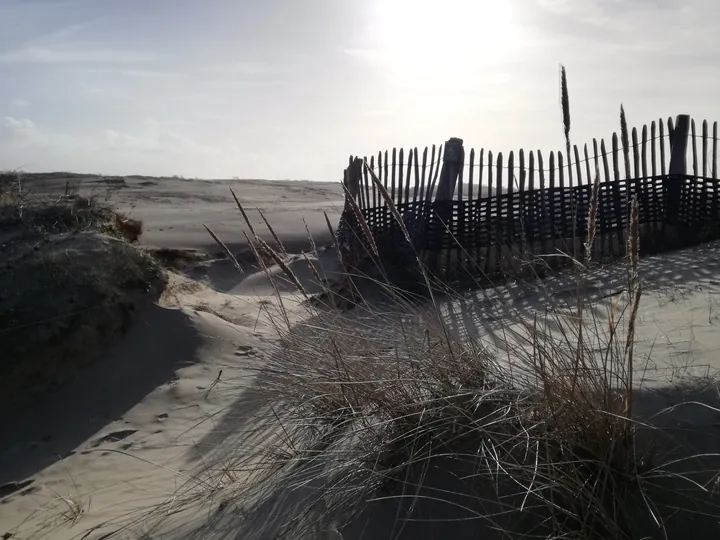 De Panne (België)